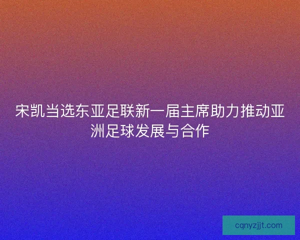 宋凯当选东亚足联新一届主席助力推动亚洲足球发展与合作