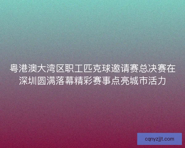 粤港澳大湾区职工匹克球邀请赛总决赛在深圳圆满落幕精彩赛事点亮城市活力