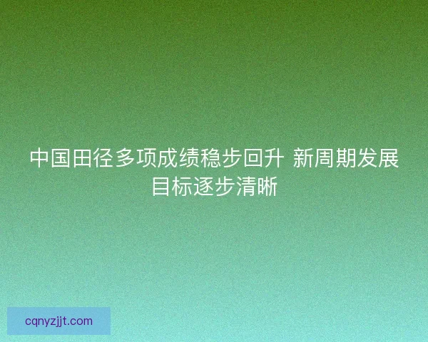 中国田径多项成绩稳步回升 新周期发展目标逐步清晰